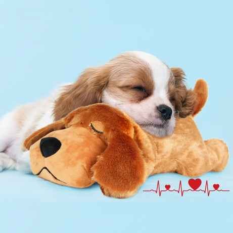Pet Heartbeat Plush – Calming Dog Toy for Anxiety Relief