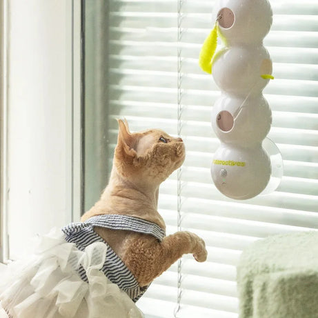 USB Cat Toy – Interactive, Durable Caterpillar Teaser