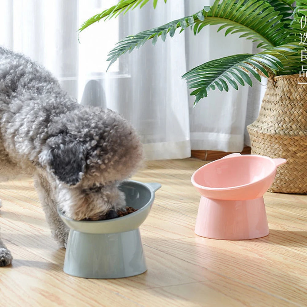 Elevated Tilted Cat Bowl – Anti-Vomit, Ergonomic Feeder
