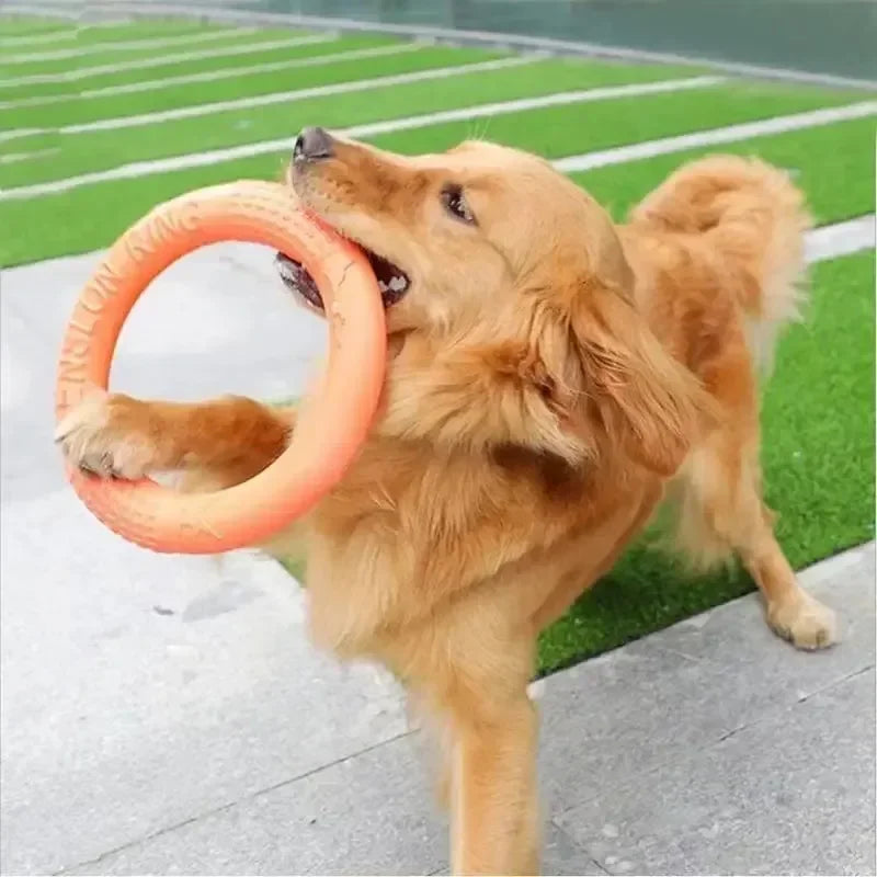 Large TPR Dog Toy Ring, Interactive, Durable Teeth Grinder