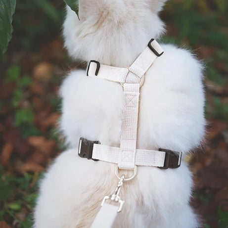 Pet Harness & Leash Set – Adjustable, Escape-Proof, Soft