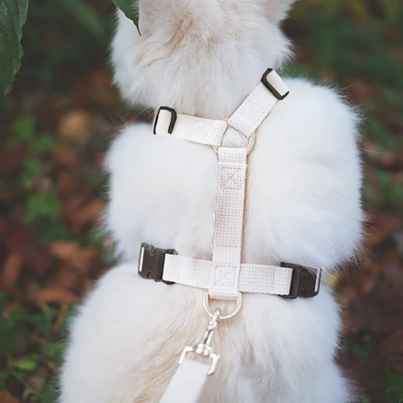 Pet Harness & Leash Set – Adjustable, Escape-Proof, Soft