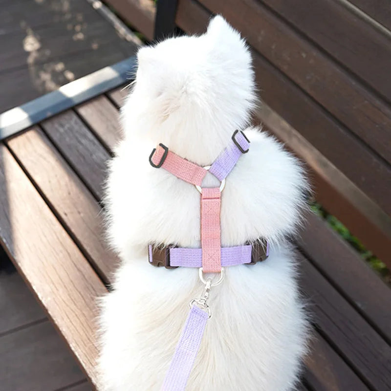 Pet Harness & Leash Set – Adjustable, Escape-Proof, Soft