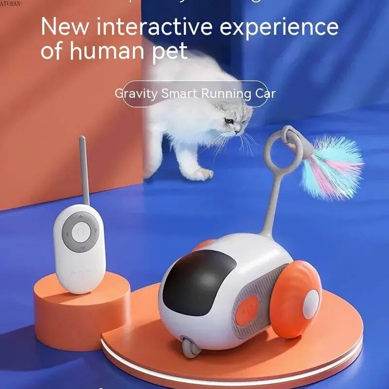 Remote Control Interactive Cat Car