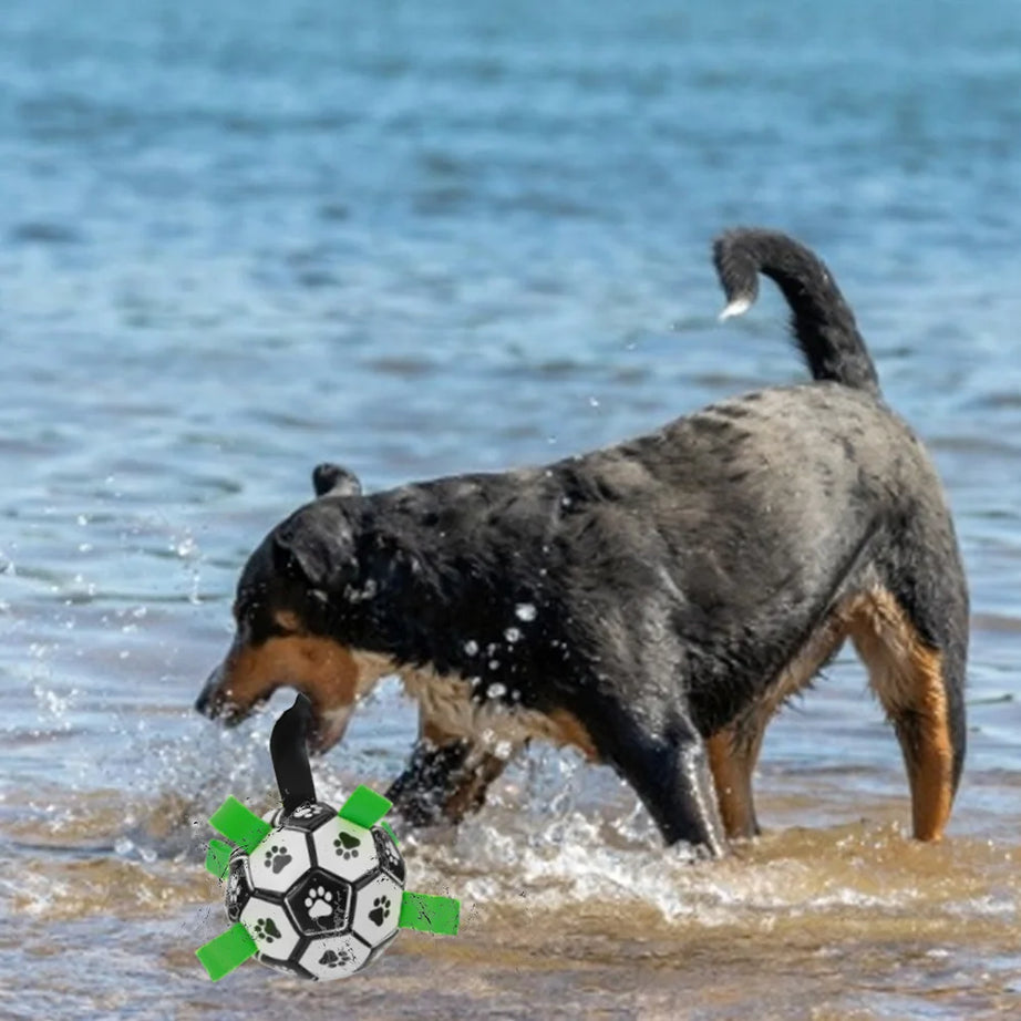 Interactive Pet Football Toy