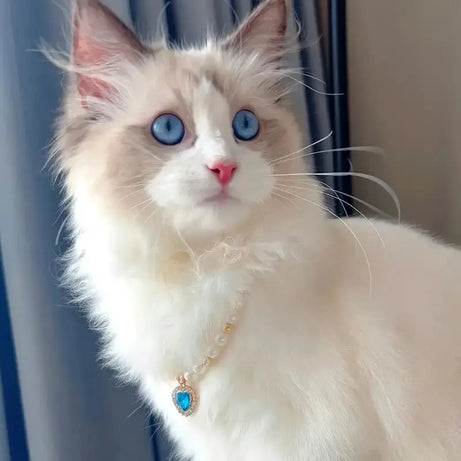 Pet Pearl Collar for Dogs & Cats – Cute Princess Chain