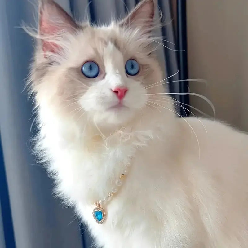 Pet Pearl Collar for Dogs & Cats – Cute Princess Chain