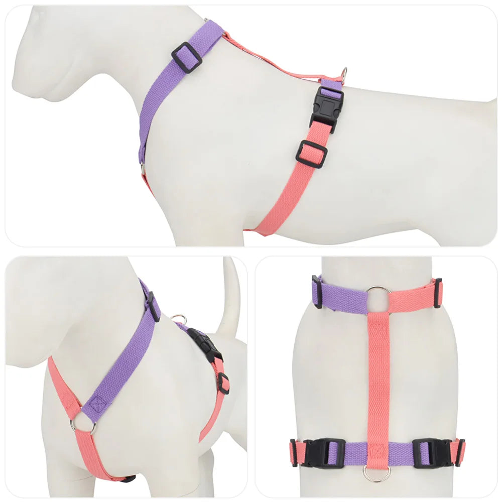 Pet Harness & Leash Set – Adjustable, Escape-Proof, Soft