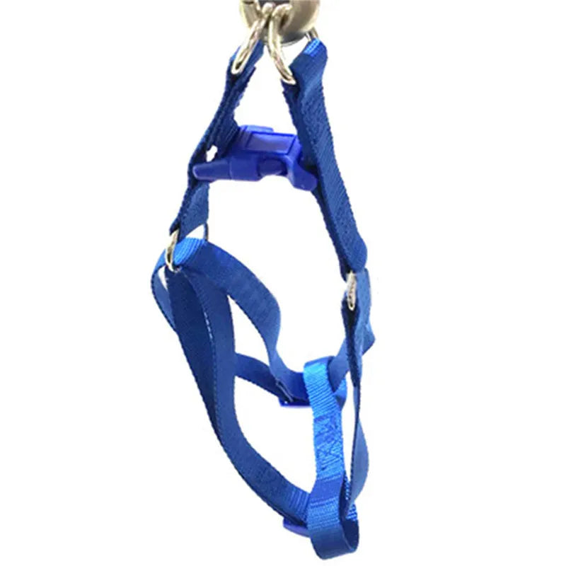 No-Pull Dog Harness Vest Leash for Small/Medium Dogs