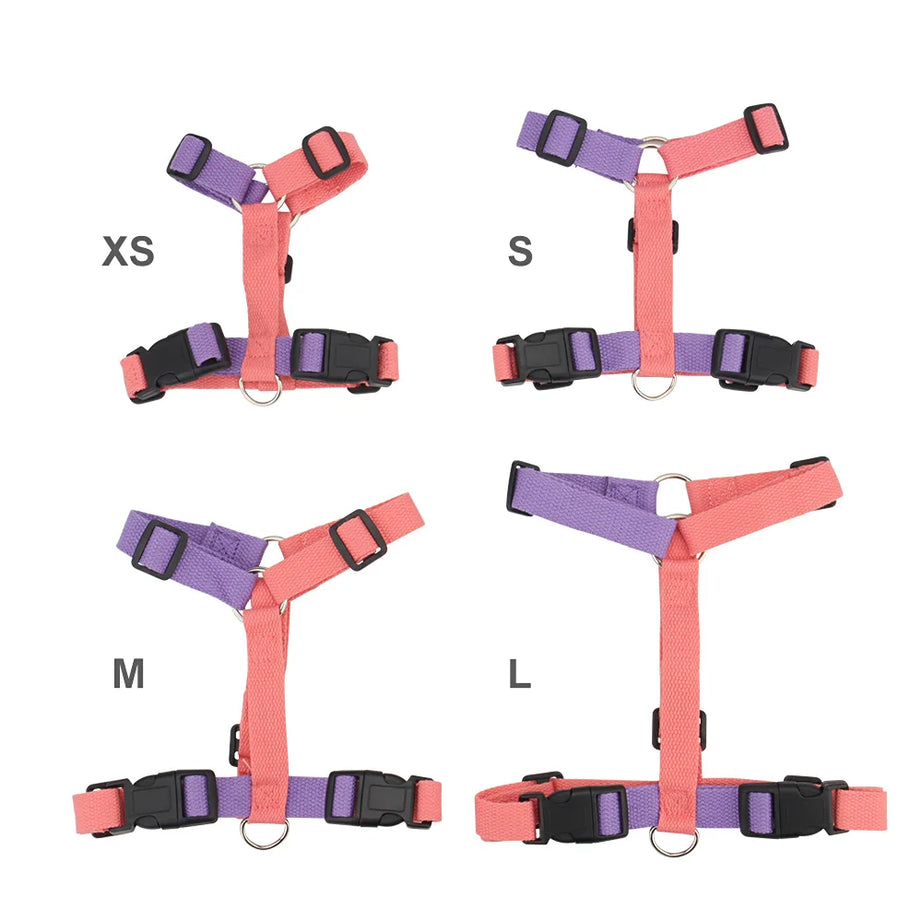 Pet Harness & Leash Set – Adjustable, Escape-Proof, Soft