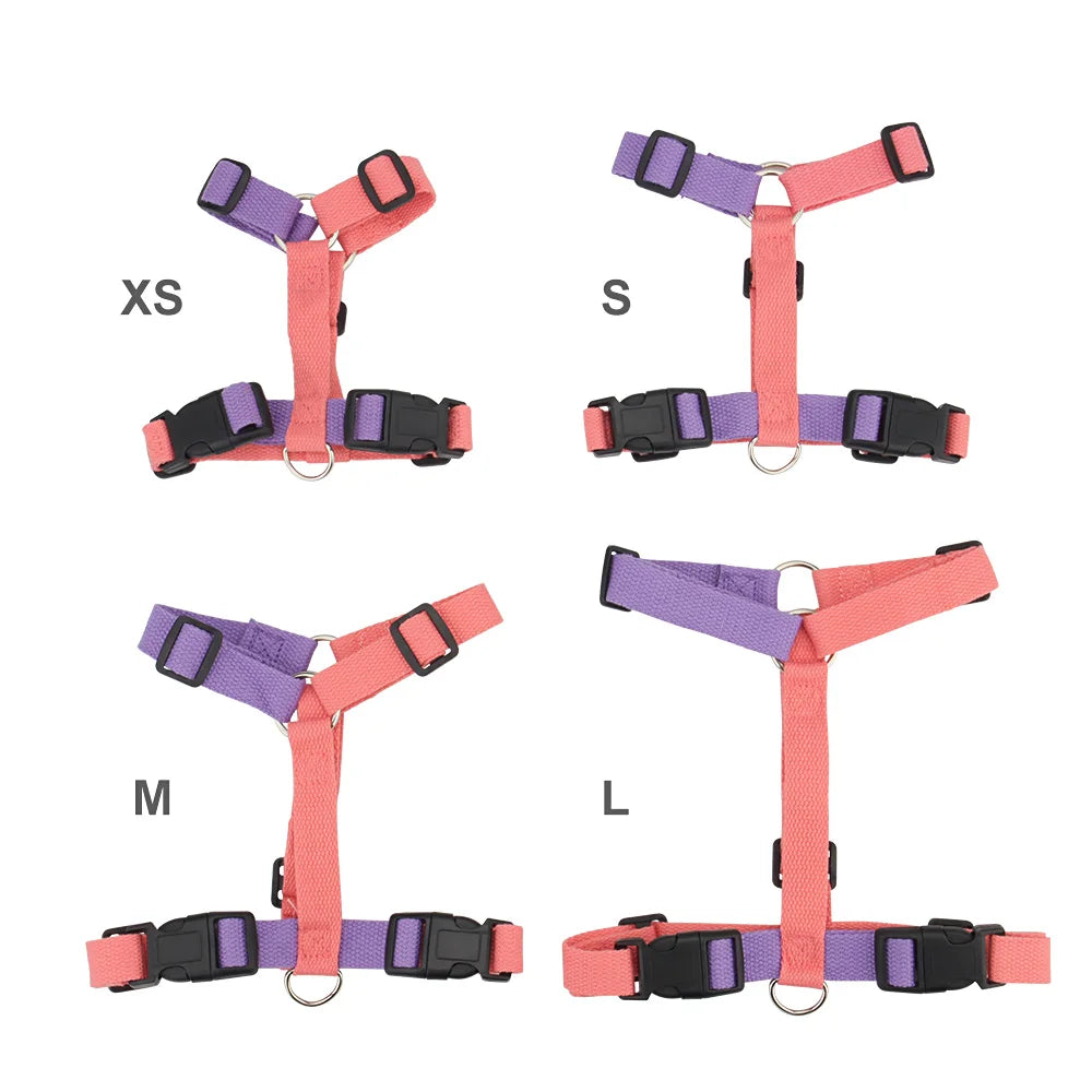 Pet Harness & Leash Set – Adjustable, Escape-Proof, Soft