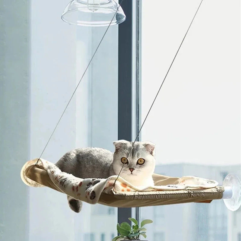 Cat Hammock Window