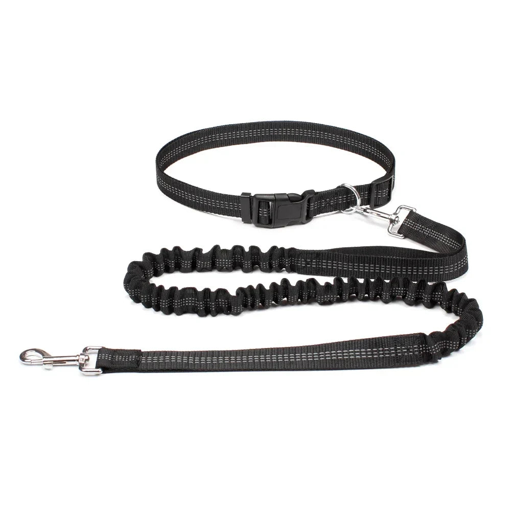 Hands-Free Adjustable Dog Leash Belt for Walking & Running