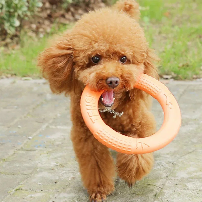 Large TPR Dog Toy Ring, Interactive, Durable Teeth Grinder