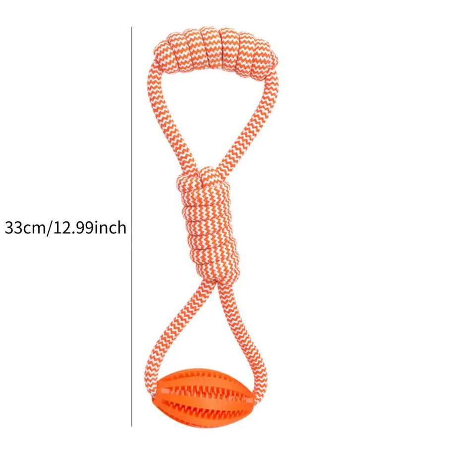 Dental Teething Training Toy