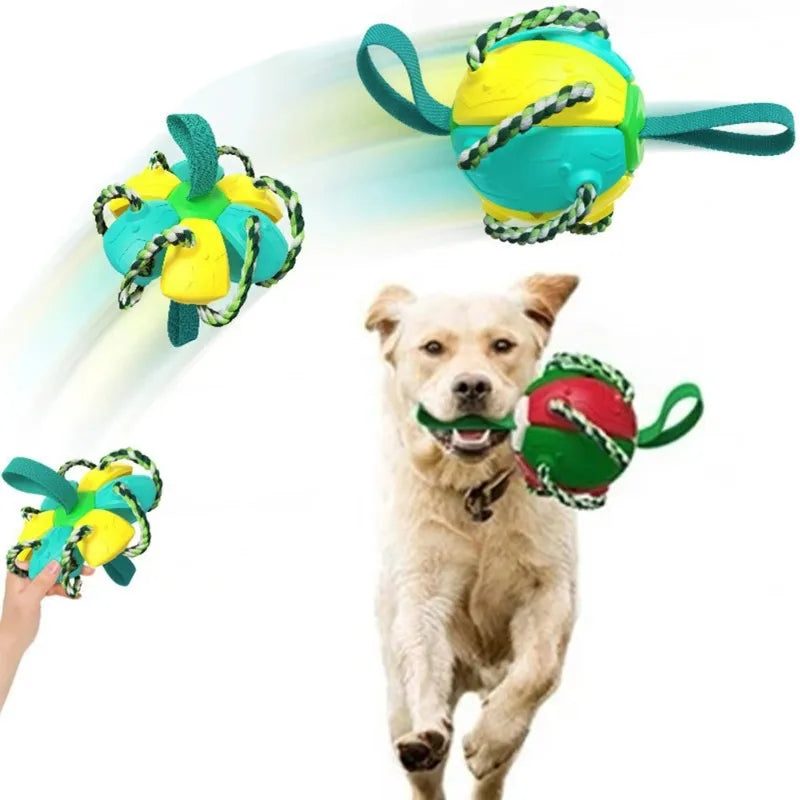2-In-1 Dog Ball Frisbee with Rope