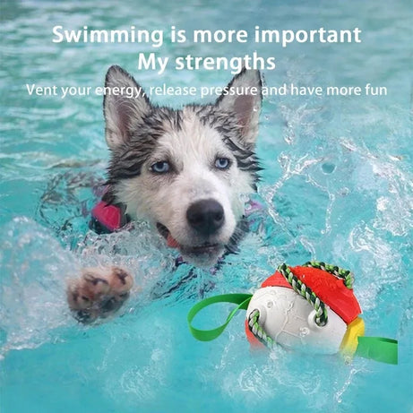 2-In-1 Dog Ball Frisbee with Rope