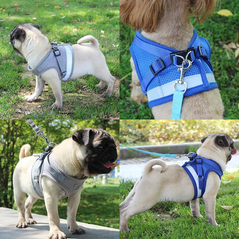 Pet Reflective Harness with Leash