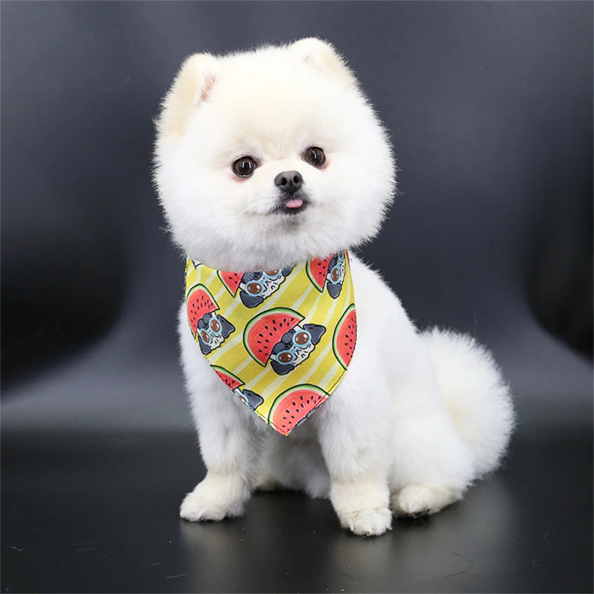 Cute Pet Bib Towel Collar for Small Dogs & Cats