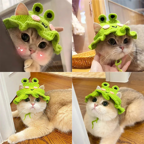 Handmade Cat Hat – Knit Pet Cap for Photo Shoots & Parties