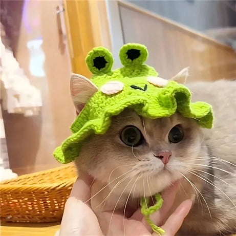 Handmade Cat Hat – Knit Pet Cap for Photo Shoots & Parties