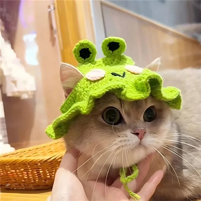 Handmade Cat Hat – Knit Pet Cap for Photo Shoots & Parties