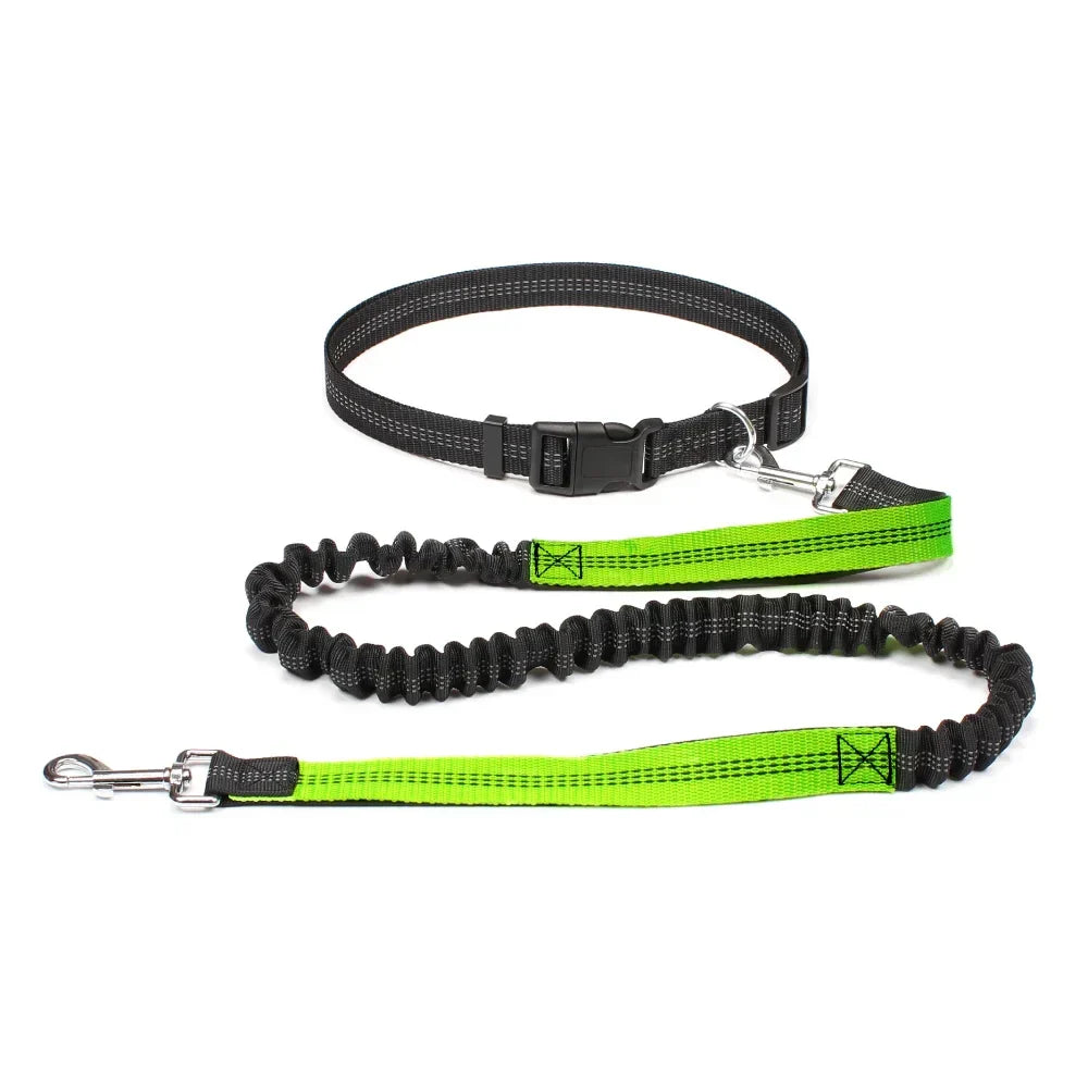 Hands-Free Adjustable Dog Leash Belt for Walking & Running