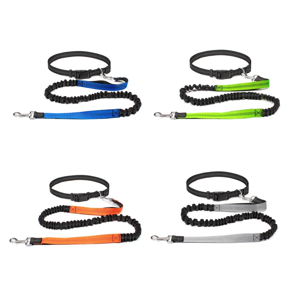 Hands-Free Adjustable Dog Leash Belt for Walking & Running
