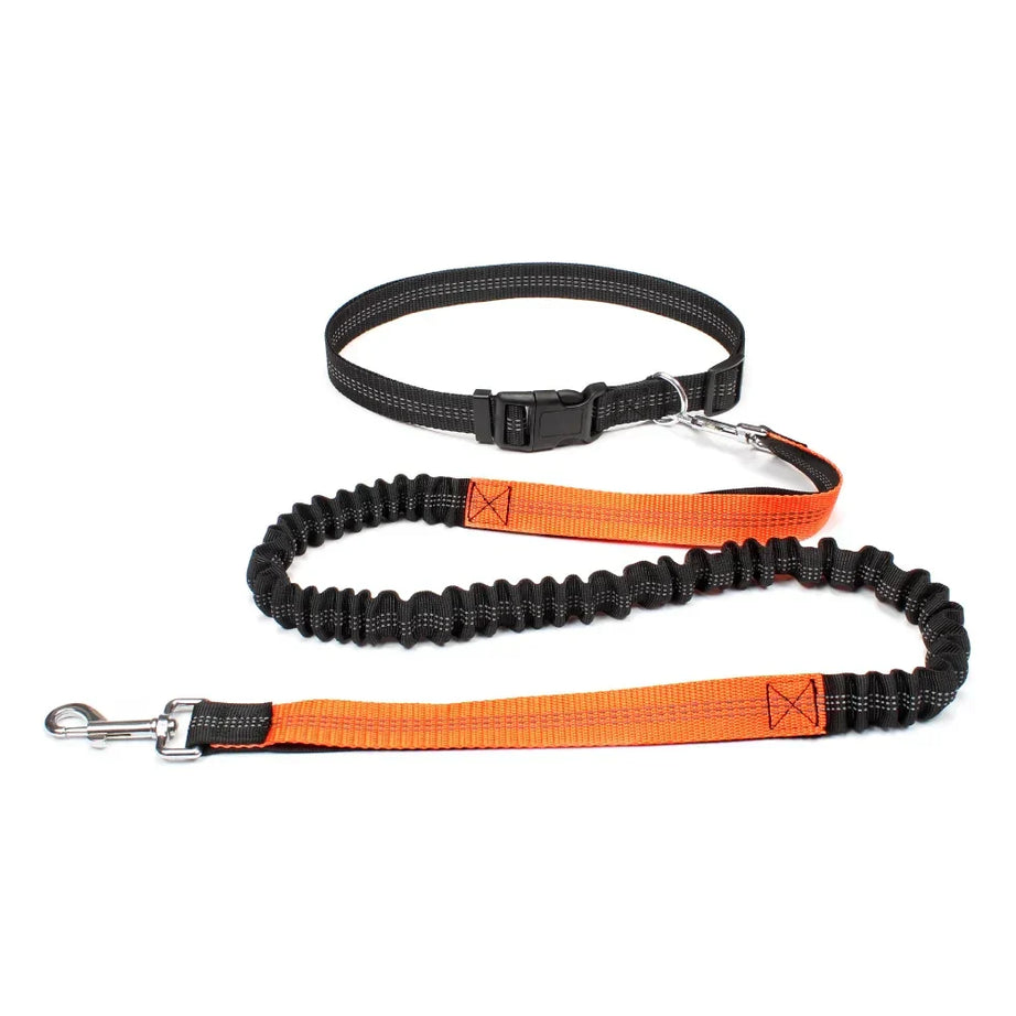 Hands-Free Adjustable Dog Leash Belt for Walking & Running