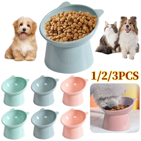 Elevated Tilted Cat Bowl – Anti-Vomit, Ergonomic Feeder