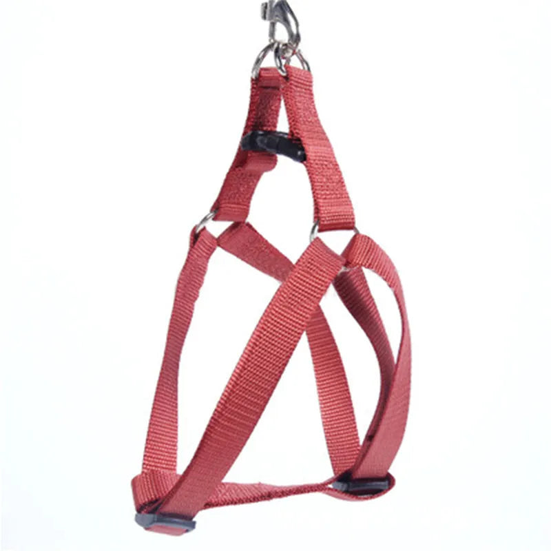 No-Pull Dog Harness Vest Leash for Small/Medium Dogs