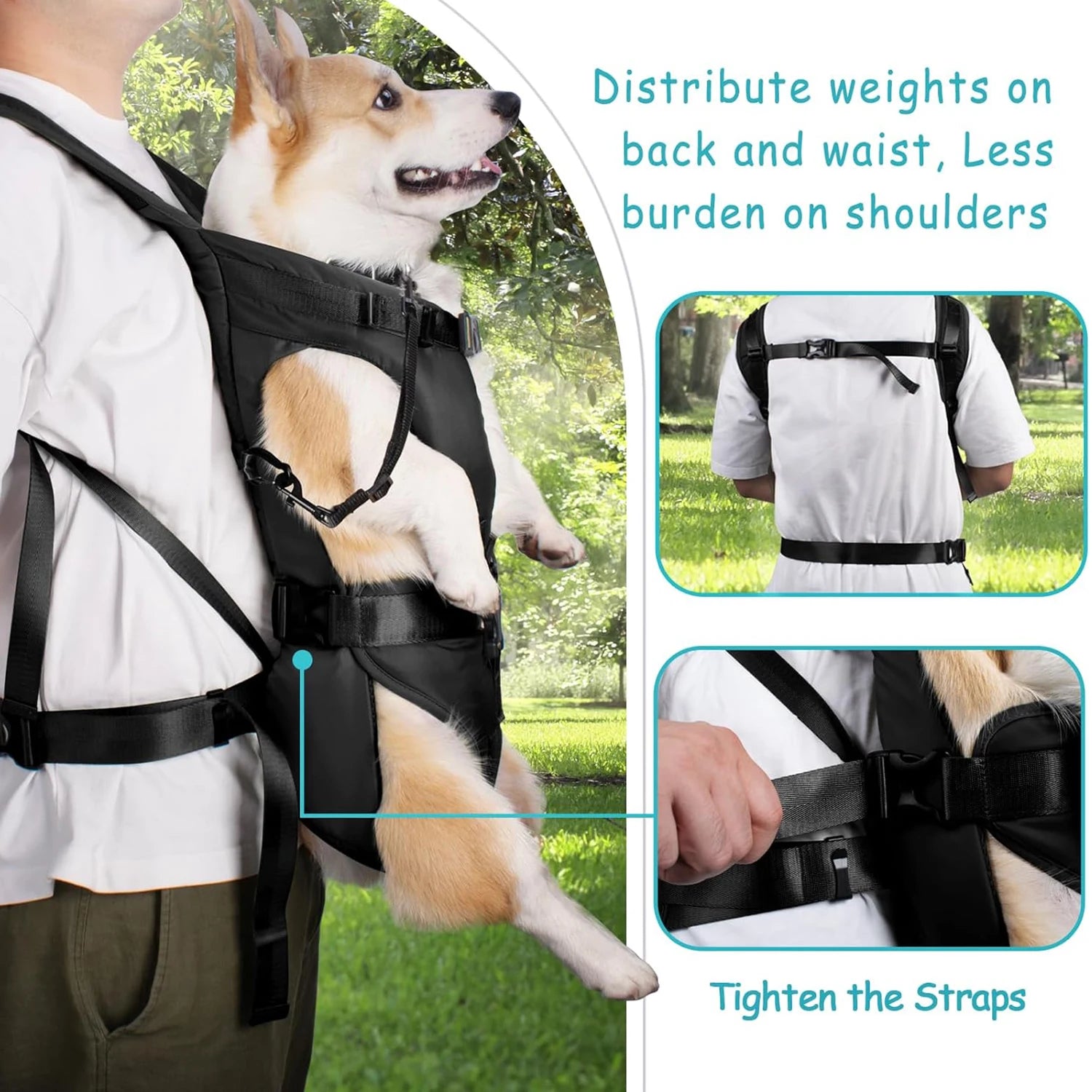 Adjustable Outdoor Dog Backpack Carrier for Small & Medium Pets