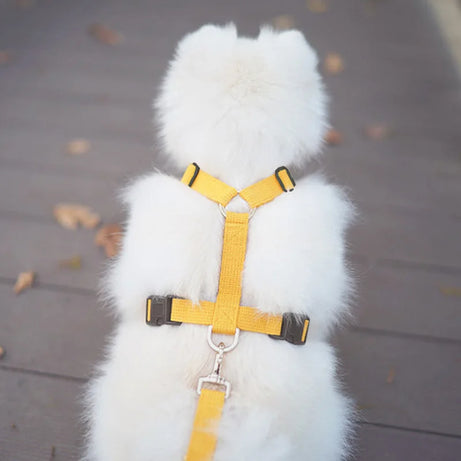 Pet Harness & Leash Set – Adjustable, Escape-Proof, Soft