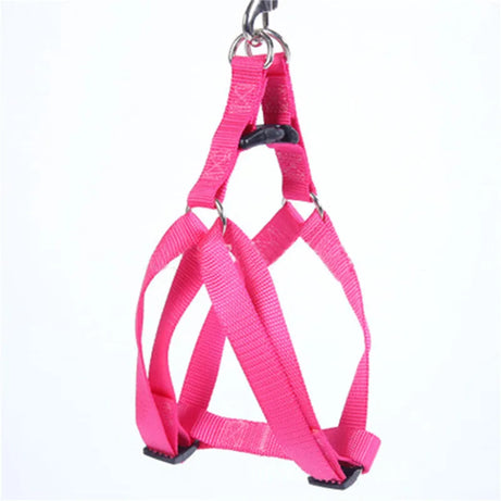 No-Pull Dog Harness Vest Leash for Small/Medium Dogs