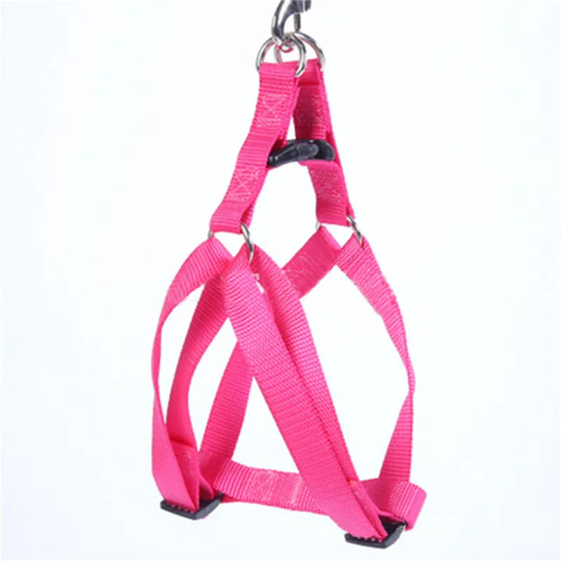 No-Pull Dog Harness Vest Leash for Small/Medium Dogs