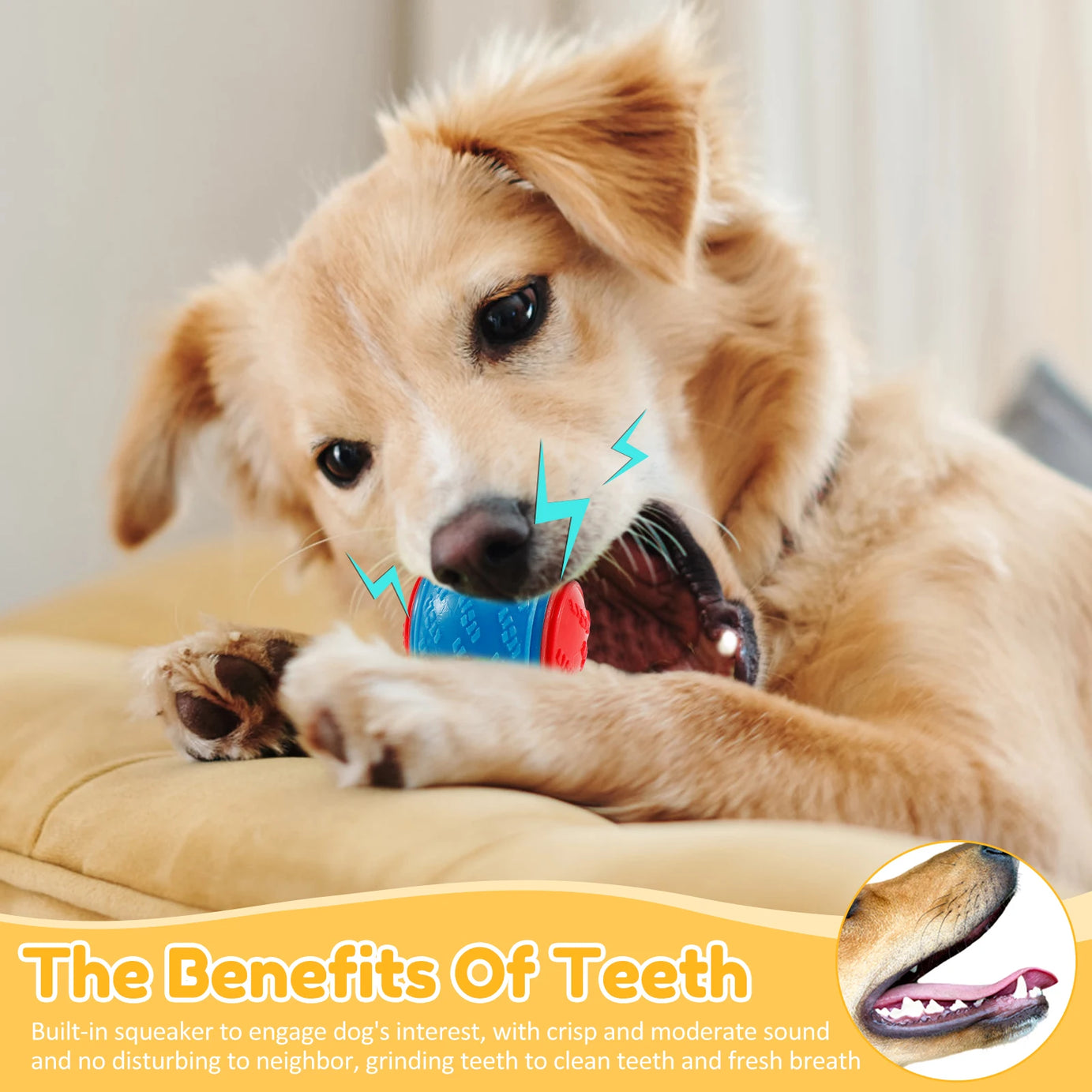 6Pcs Squeaky Dog Chew Toys, TPR Teeth-Cleaning Balls