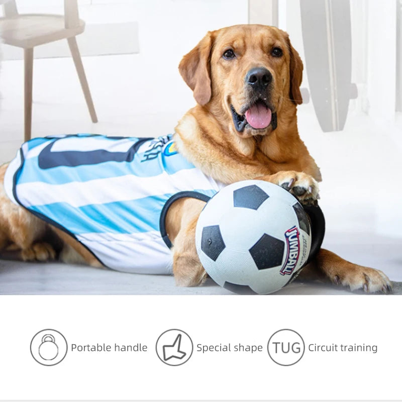 Dog Toy: Bite-Resistant Interactive Ball with Rubber Handle for Dogs