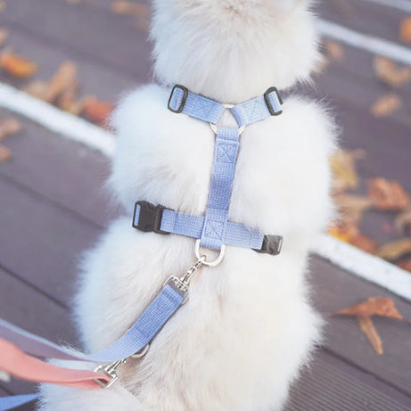 Pet Harness & Leash Set – Adjustable, Escape-Proof, Soft