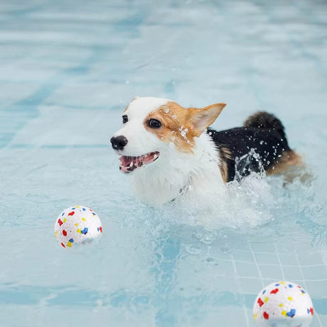 Elastic Bite-Resistant Dog Ball Toy for Small to Large Dogs