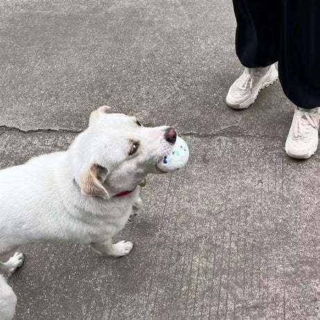 Elastic Bite-Resistant Dog Ball Toy for Small to Large Dogs