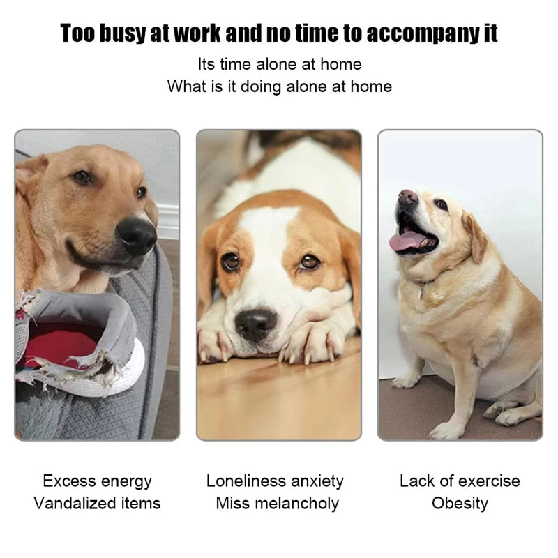 Automatic Dog Tennis Launcher Toy - Interactive Mini Throwing Machine