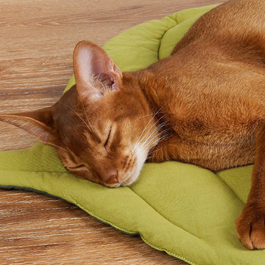 Leaf-Shaped Cat Mattress & Dog Bed, Double-Sided, Warm Pad