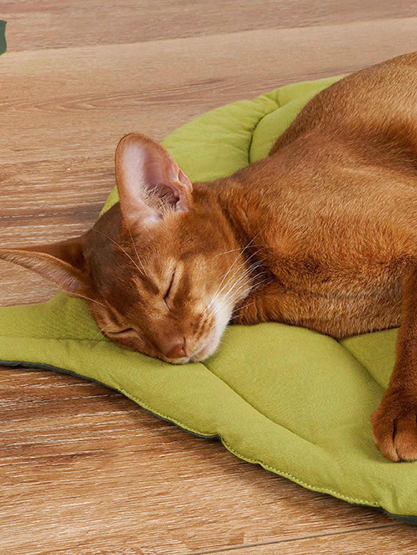 Leaf-Shaped Cat Mattress & Dog Bed, Double-Sided, Warm Pad