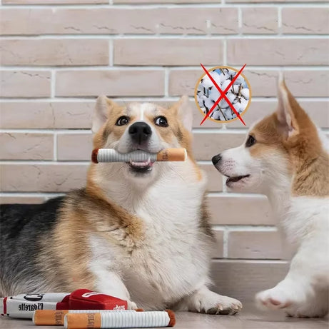 Interactive Cigarettes Dog Toy
