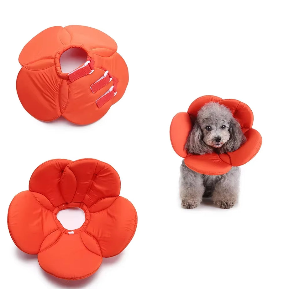 Flower Shape Dog Surgery Collar, Anti-Barking, Pomeranian Recovery