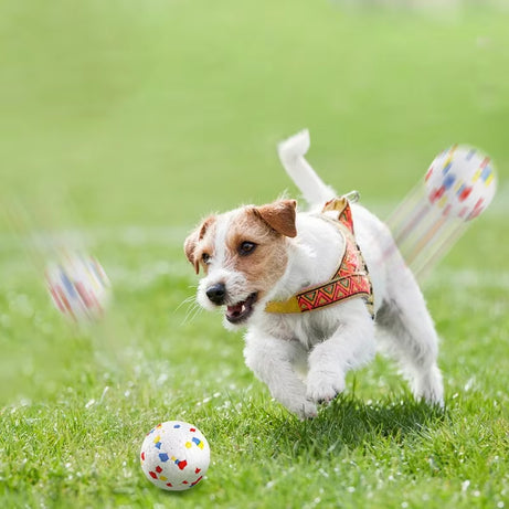 Elastic Bite-Resistant Dog Ball Toy for Small to Large Dogs