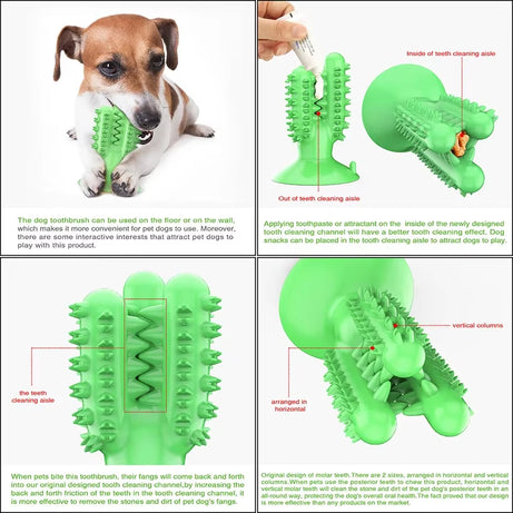 Dog Toys Squeaky, Chew, Toothbrush, Pet Accessories