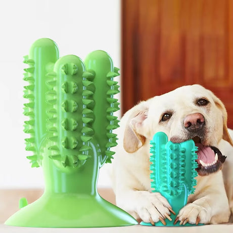 Dog Toys Squeaky, Chew, Toothbrush, Pet Accessories