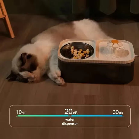 Cat & Dog Automatic Feeder & Water Dispenser, Large Capacity