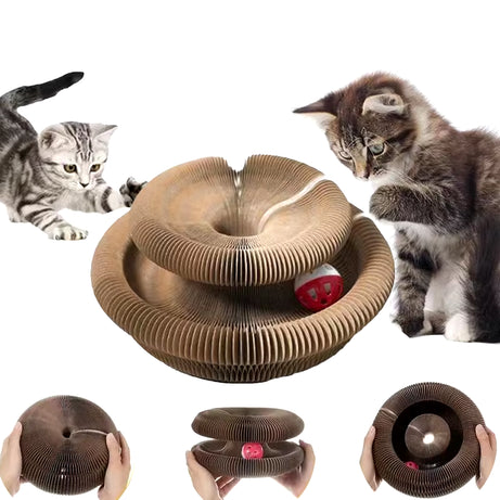 Magic Cat Toy Ball Kitten Game Training Fun Shapes Corrugated House